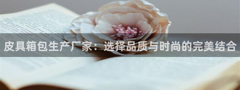 辉达娱乐电子