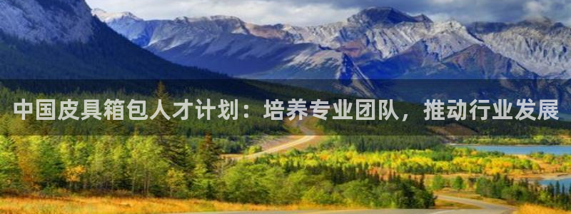 辉达平台娱乐怎么样