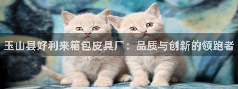 辉达娱乐丿75505