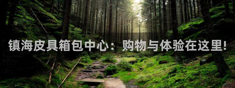 辉达娱乐属于什么档次