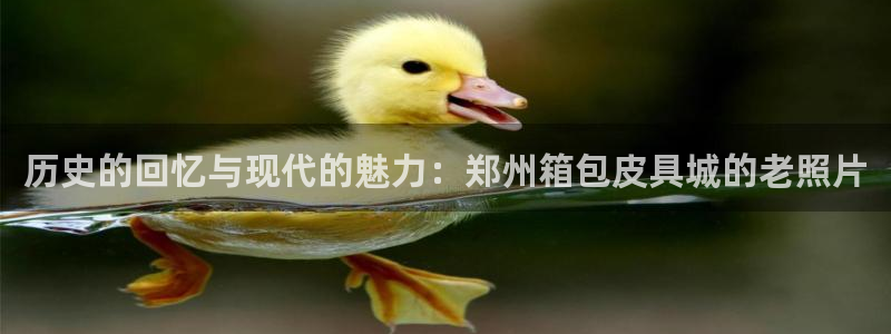 代理辉达娱乐