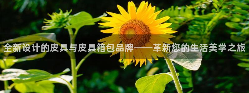辉达娱乐丿75505