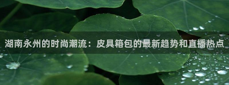 辉达娱乐加q75775稳定