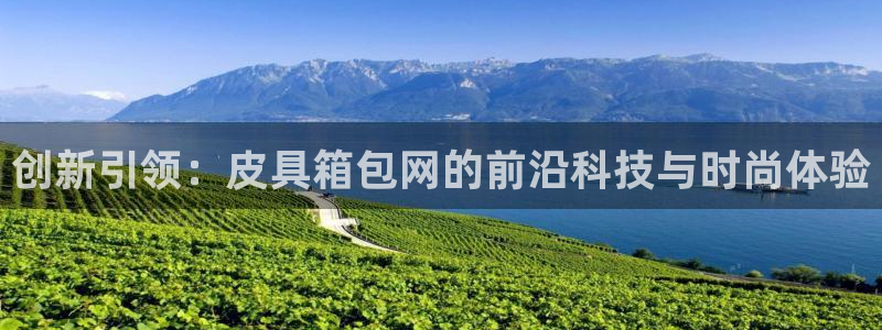 辉达娱乐app