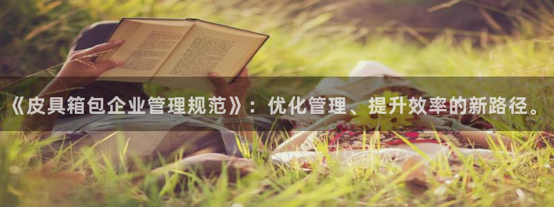 辉达娱乐丶75505