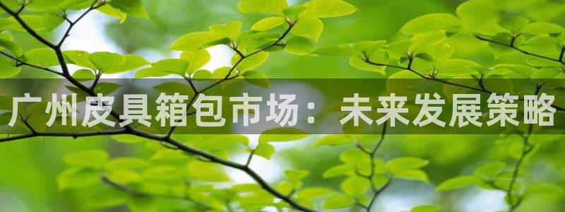 辉达娱乐加q75775