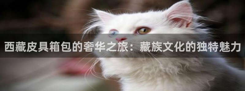 辉达娱乐官网