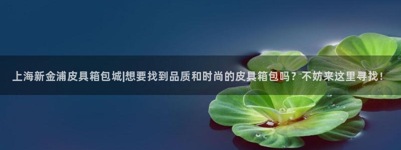 辉达平台官网首页