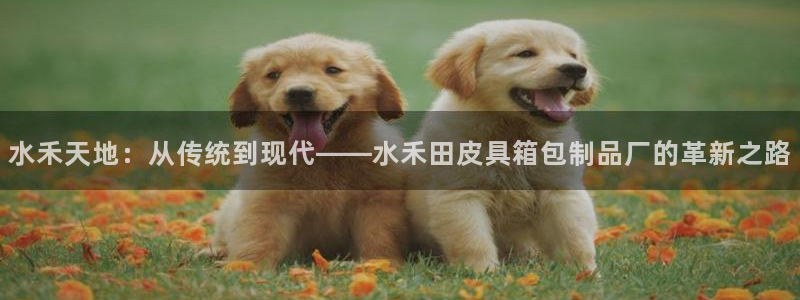 辉达娱乐新疆时时彩