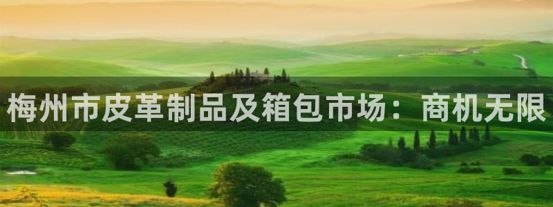 辉达娱乐电子