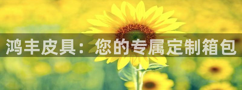 辉达娱乐待遇