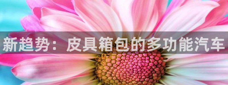 辉达娱乐网址