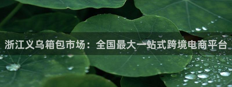 辉达娱乐五75505