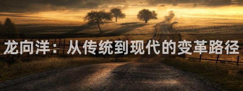 辉达娱乐计划软件