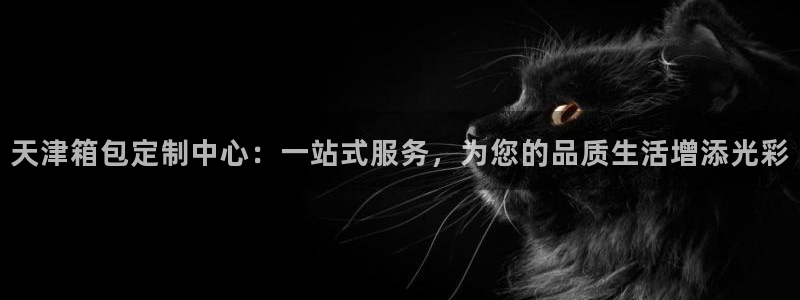 辉达娱乐检测