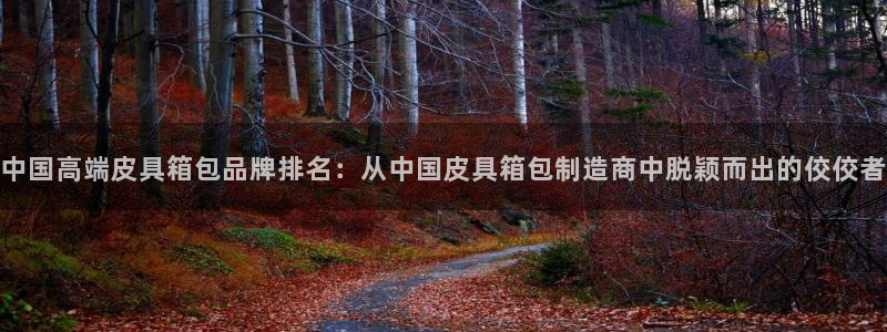 辉达娱乐下载