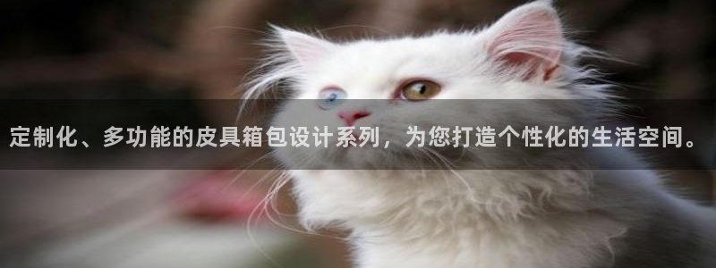 辉达娱乐时时彩