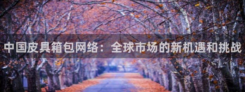辉达娱乐多少年