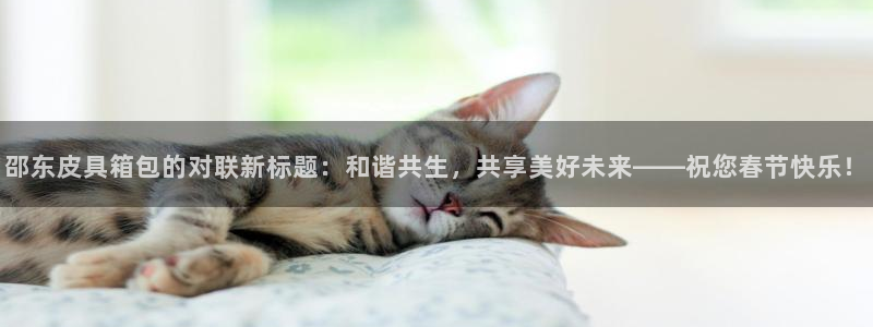 信誉辉达娱乐在线游戏