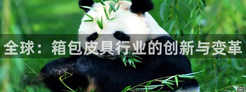 达利娱乐王辉