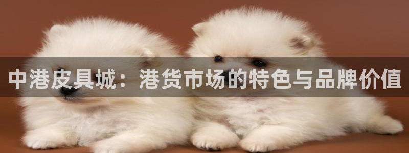 辉达娱乐最新版本更新内容