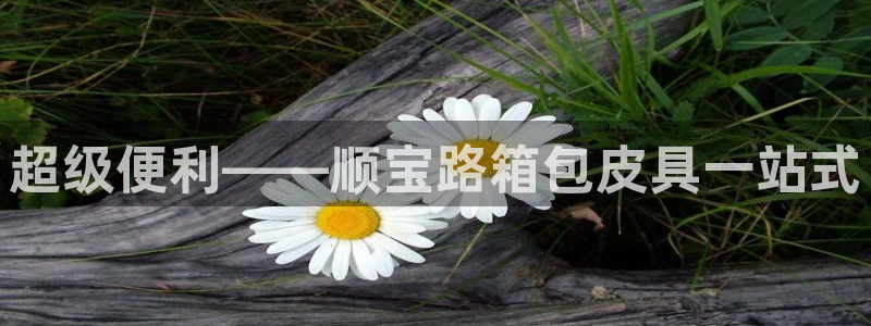 辉达娱乐计划软件