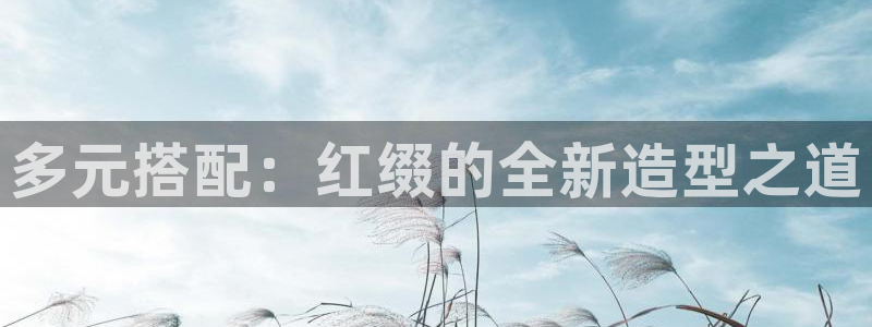 辉达娱乐电子