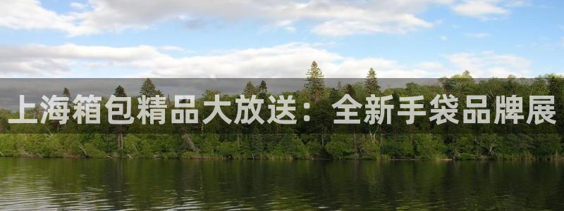 辉达娱乐公司