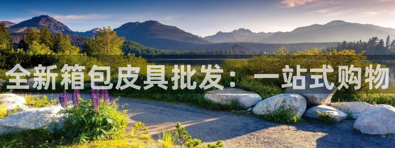 辉达娱乐公司