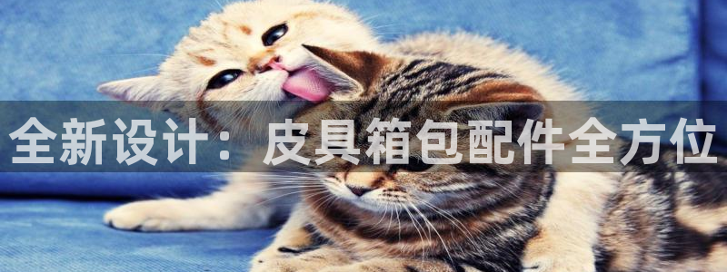 辉达娱乐时时彩平台