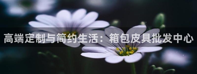 辉达娱乐官网