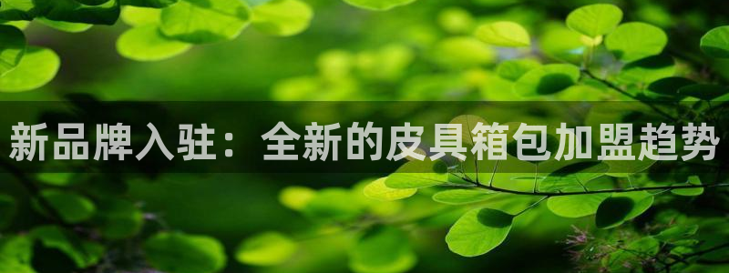 辉达娱乐五75505