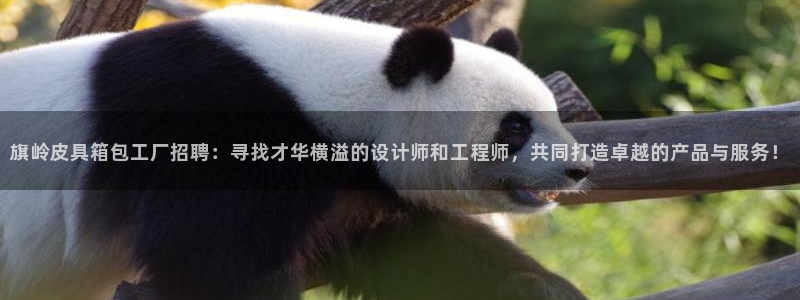 辉达娱乐ag游戏平台
