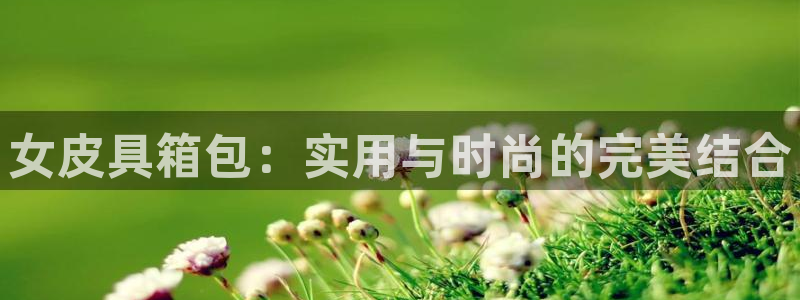 辉达平台官网下载