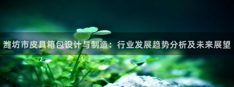 专业辉达娱乐平台