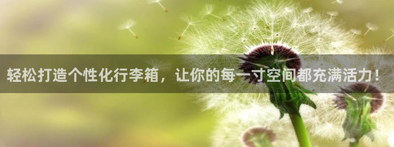 辉达娱乐最新消息新闻