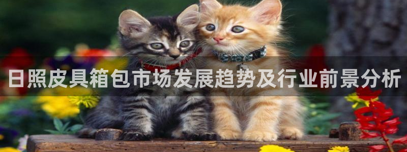 达利娱乐王辉