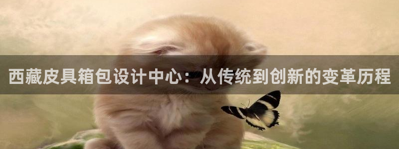 辉达娱乐时时彩平台