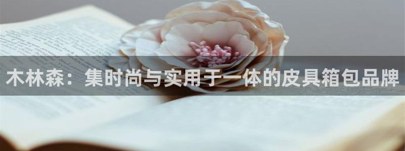 辉达娱乐体彩
