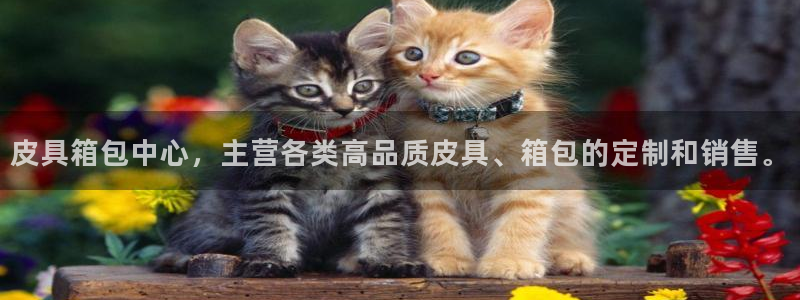 辉达集团官方网站