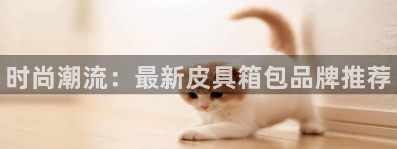 辉达娱乐公司