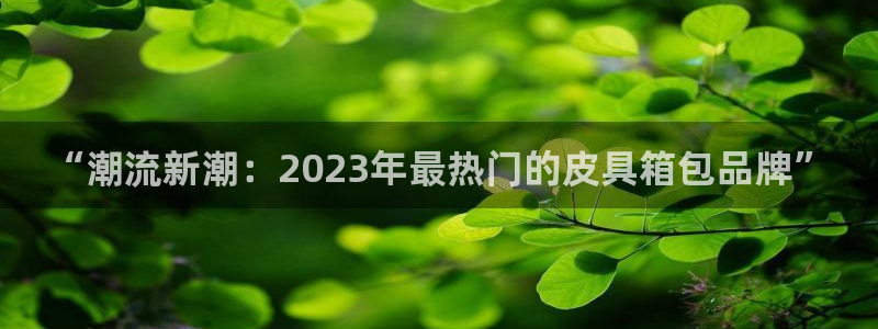 辉达娱乐ag游戏平台