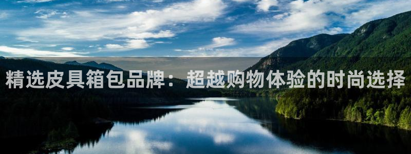 辉达平台官网网站