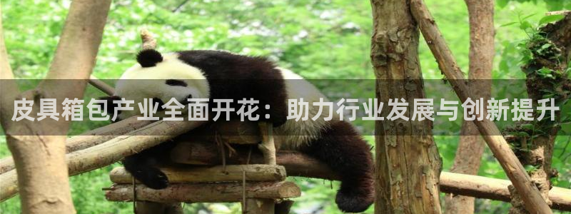 达娱乐辉70667
