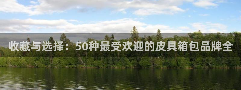 辉达集团官方网站