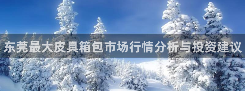 辉达娱乐招商