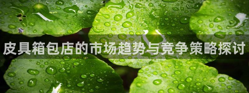 代理辉达娱乐平台