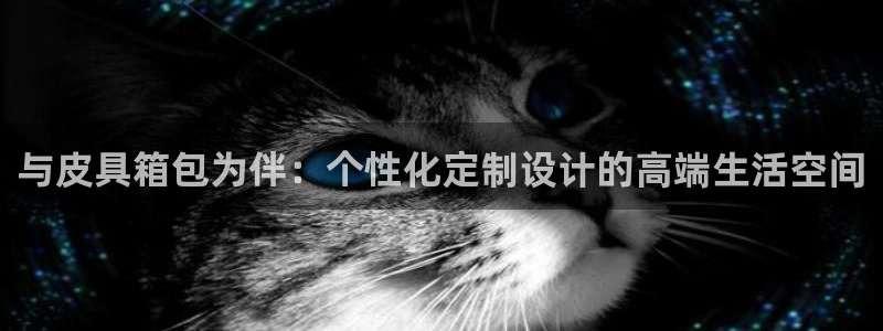代理辉达娱乐平台