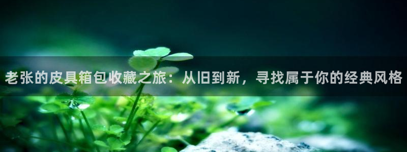 辉达娱乐app