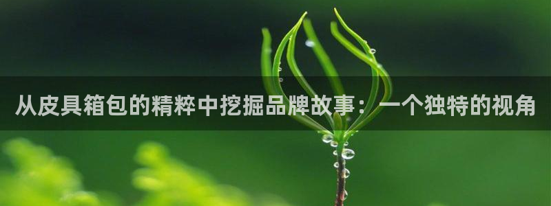 辉达怎么样